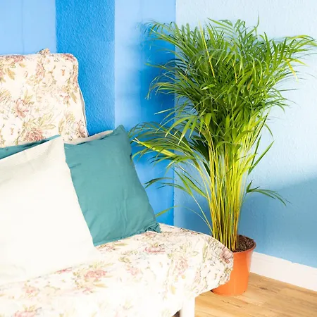 Ocean Breeze Escape With Nautical Elegance - 2-room Coastal-inspired 75 Qm - Location - Refined Maritime Style - Fully Renovated In 2024 With Smart Tv & Netflix - Equipped Kitchen & Free Parking - Close To Metro & Airport - King Siz Apartment *